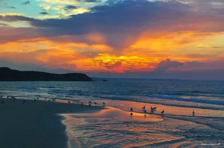 L'Angolo Di Nina Vasto Buitenkant foto